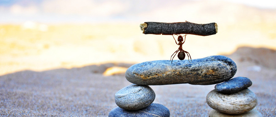 生涯規(guī)劃師：你所追求的自由，不過(guò)是另一種責(zé)任