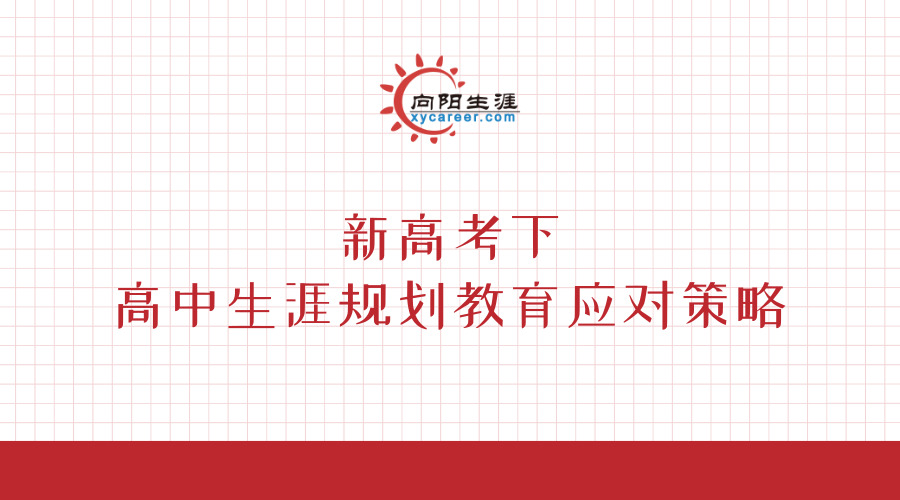 新高考下高中生涯規(guī)劃教育應對策略