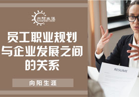 員工職業(yè)規(guī)劃與企業(yè)發(fā)展之間的關(guān)系