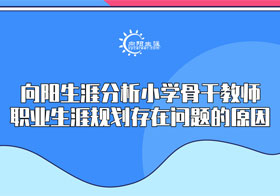 小學骨干教師存在問題的原因