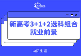 新高考3+1+2選科組合就業(yè)前景