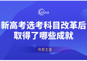 新高考選考科目改革后取得了哪些成就