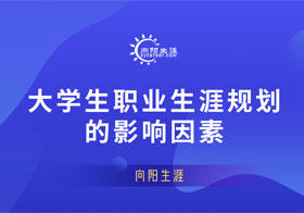 大學(xué)生職業(yè)規(guī)劃的影響因素