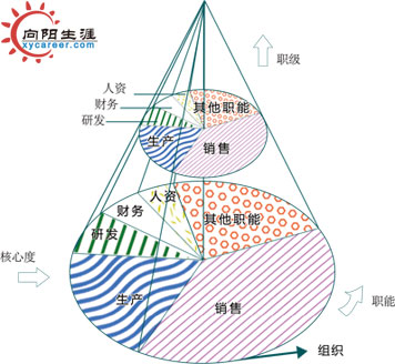 員工職業(yè)發(fā)展圓錐體模型
